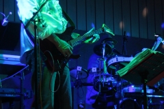 fasching_mbg_2017 (29)