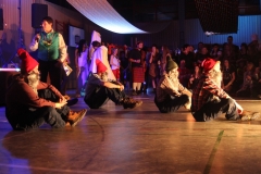 fasching_mbg_2017 (40)