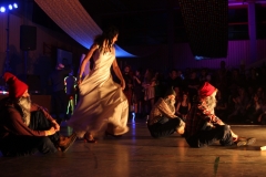 fasching_mbg_2017 (43)