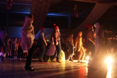 fasching_mbg_2017 (48)