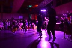 faschingsball_der_berg_bebt_memmingerberg_2019-121