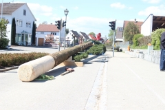 Maibaum_2017 (28)